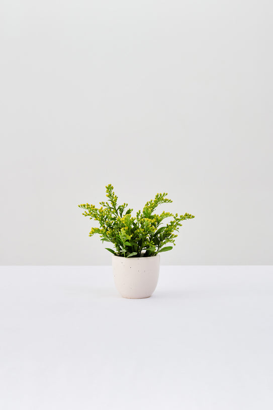 DUST MUG A 125 ML