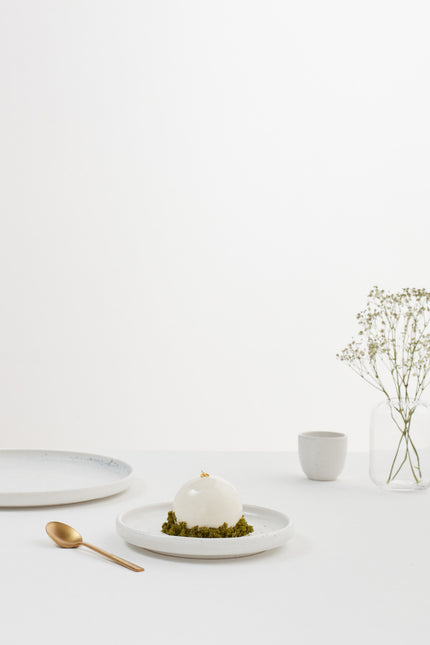 SALT LARGE PLATE